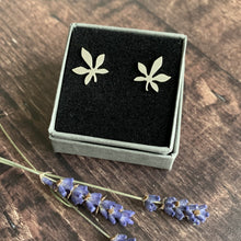 Load image into Gallery viewer, Horse Chestnut Leaf Studs