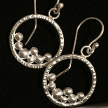 Load image into Gallery viewer, Champagne Drop Earrings