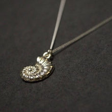 Load image into Gallery viewer, Ammonite Pendant