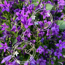 Load image into Gallery viewer, Hummingbird Hoop Earrings