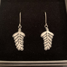 Load image into Gallery viewer, Forest Fern Drop Earrings displayed in branded box
